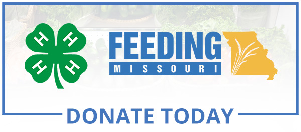 Donate to Feeding Missouri